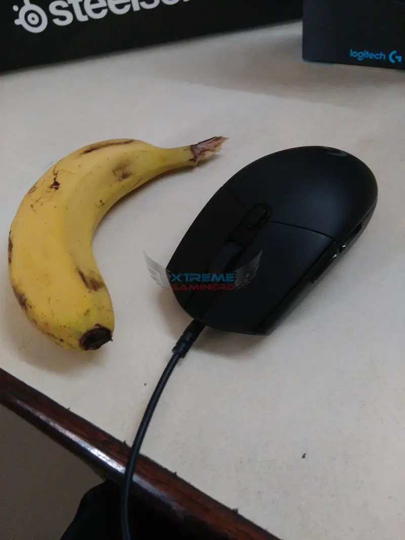 Logitech G102 size