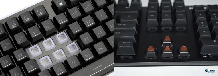 Membrane vs Mechanical Switches 1
