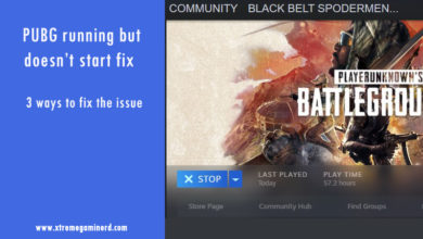 PUBG running but not starting