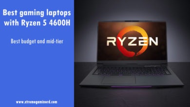 Ryzen 5 4600H laptop
