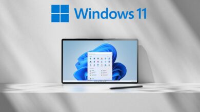 Windows 11
