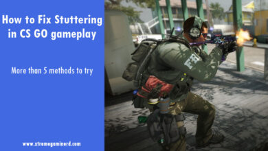 Fix CS GO Stuttering