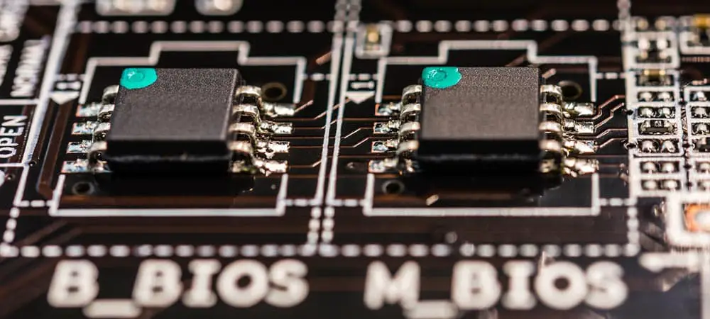 Dual chip BIOS close-up