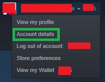 steam account details