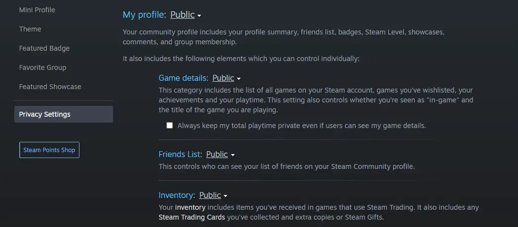 steam profile privacy public